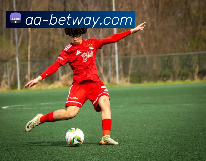 App Interface Preview